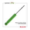 Picture of GS56234 | Safari HDP Shock Absorber